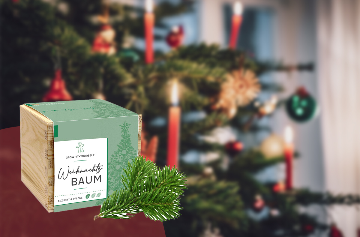 Horschler_Newsletter_September_2023_Weihnachten_03