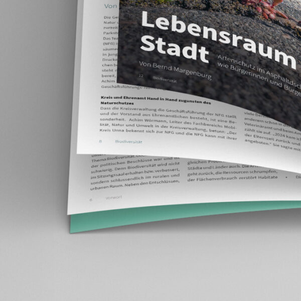 Lebens­raum Stadt /​ Bio­di­ver­si­tät im urba­nen Raum-3